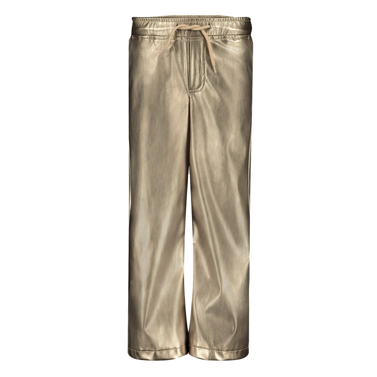 Levv Bronze pants