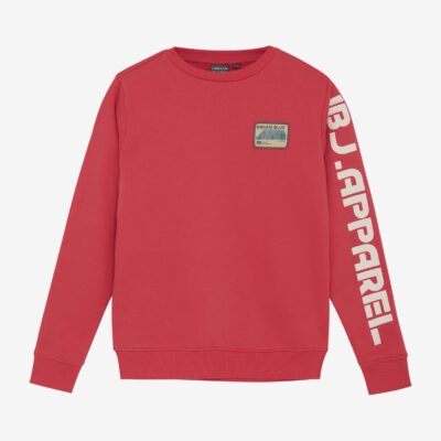 Indian Blue Jeans Sweater Print Sleeve trui