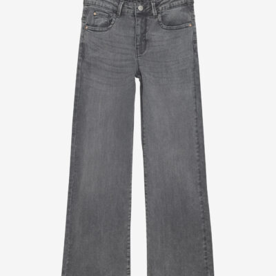 Indian Blue Jeans Wide fit grey
