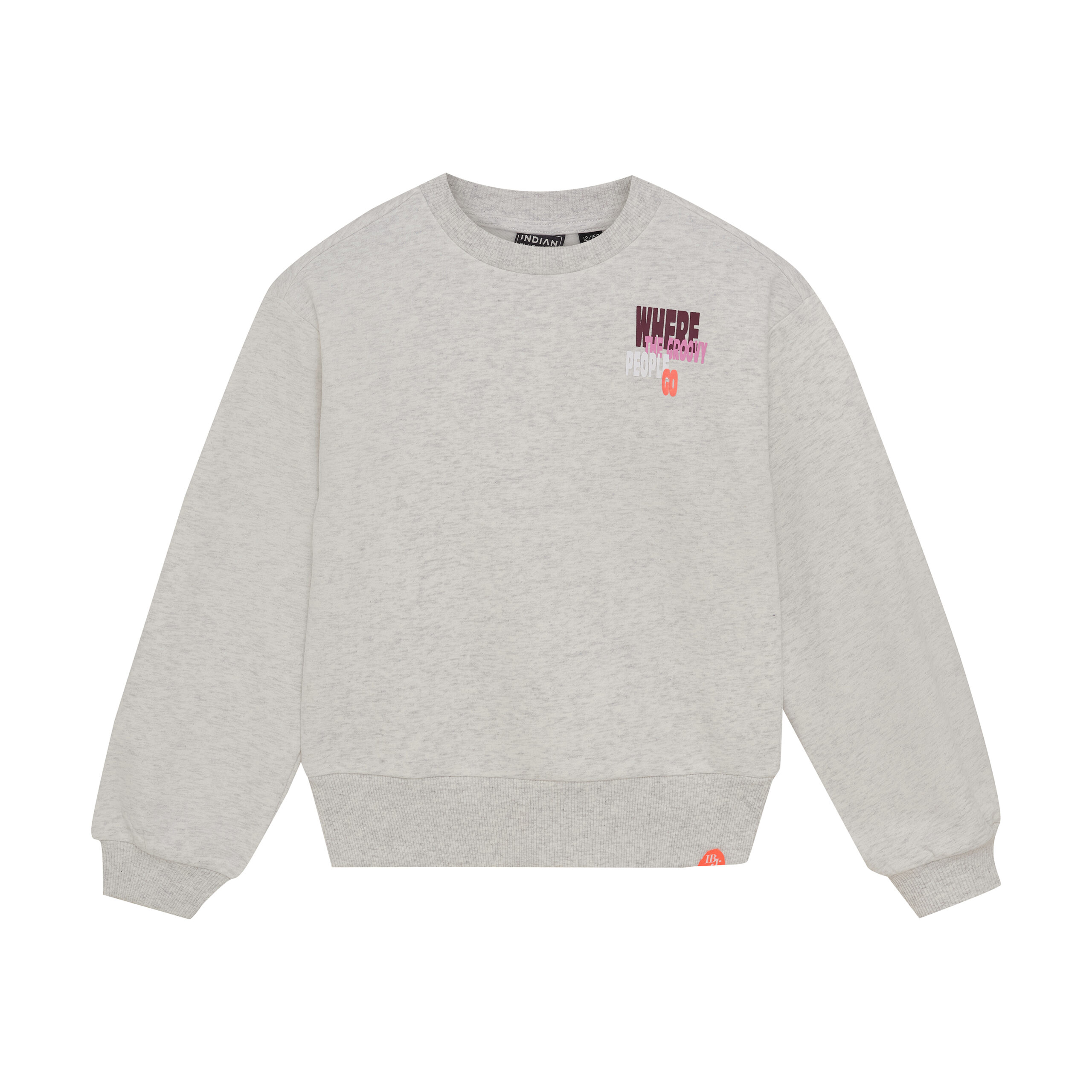 Indian Blue Jeans Sweater Melange trui