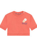 Noppies Sweate LS Burnt Sienna trui