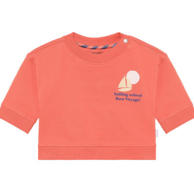 Noppies Sweate LS Burnt Sienna trui