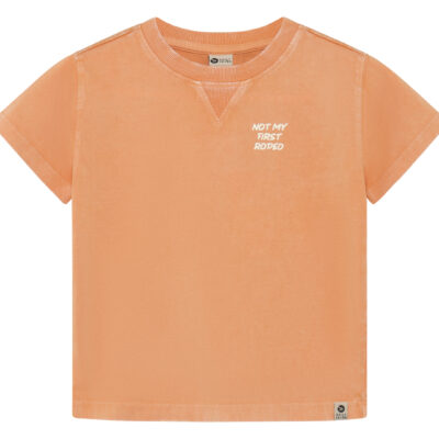 Daily7 T-Shirt Backprint Sandstone