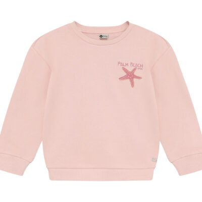 Daily7 Sweater Backprint Silver Pink trui