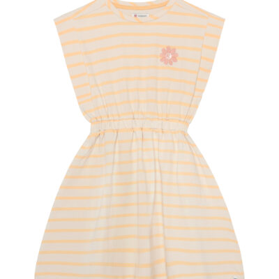 Noppies Dress SLV midi stripe jurkje