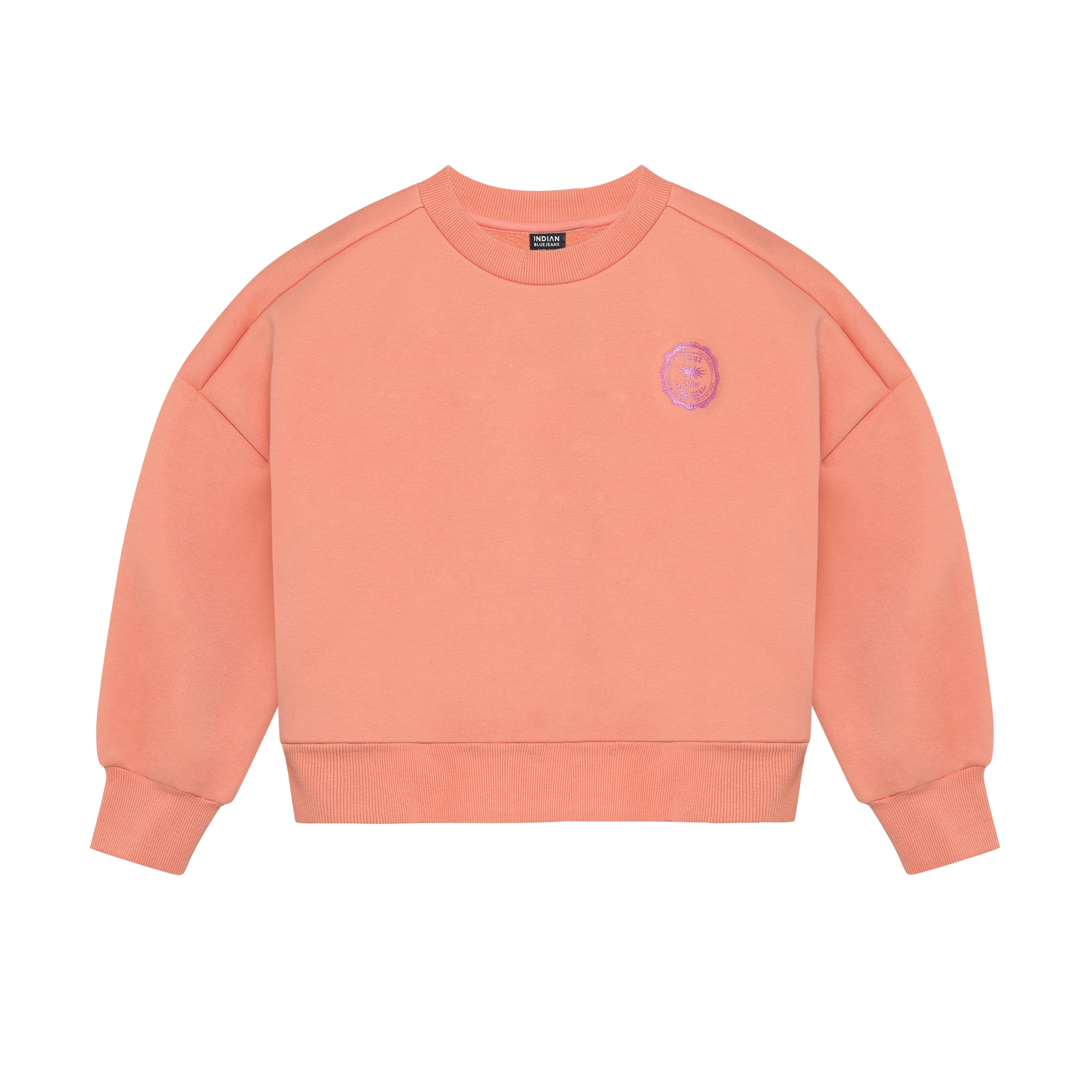 Sweater Cropped Glitter Burnt Coral