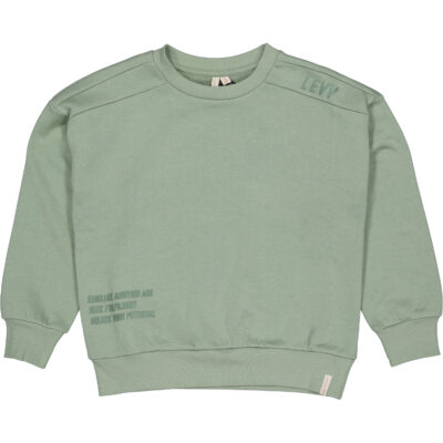 Sweater Damian Cedar Green