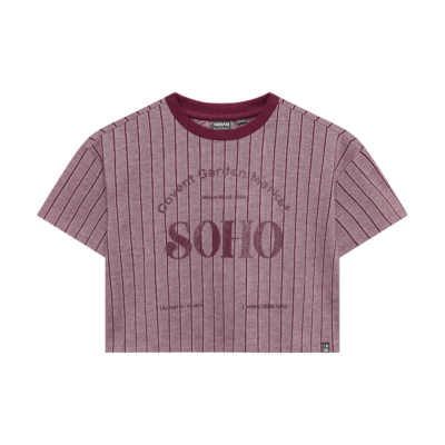 T-shirt Wide Cropped Fig